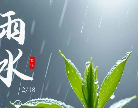 今日雨水：春启新程，职引未来